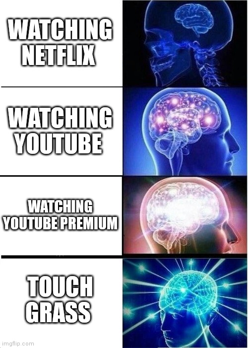 Tv | WATCHING NETFLIX; WATCHING YOUTUBE; WATCHING YOUTUBE PREMIUM; TOUCH GRASS | image tagged in funny memes,expanding brain,tv | made w/ Imgflip meme maker