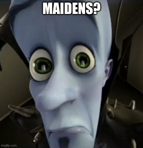 All the bitches | MAIDENS? | image tagged in all the bitches | made w/ Imgflip meme maker