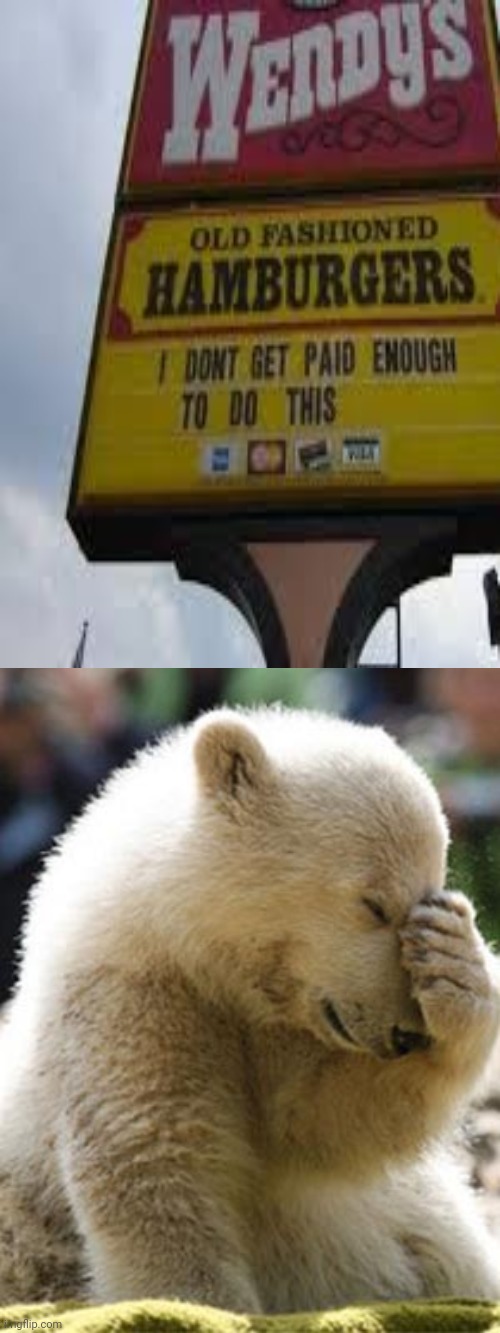 Wendy's sign | image tagged in memes,facepalm bear,wendy's,you had one job,meme,signs | made w/ Imgflip meme maker
