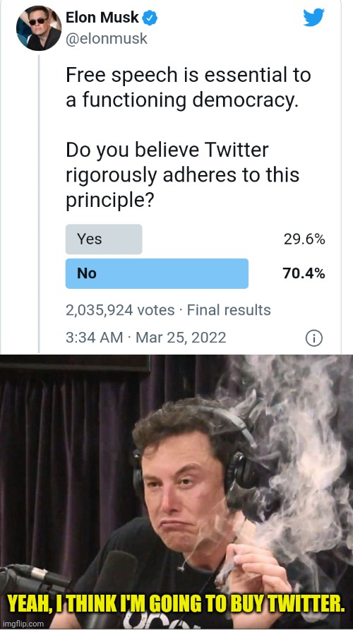Here's hoping |  YEAH, I THINK I'M GOING TO BUY TWITTER. | image tagged in elon musk smoking a joint,twitter,democrat,ConservativesOnly | made w/ Imgflip meme maker