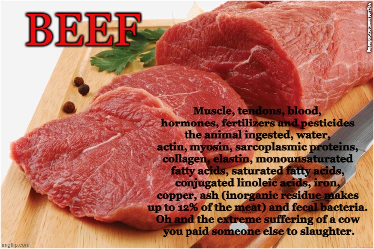 Beef |  VeganMememesForSharing; BEEF; Muscle, tendons, blood, hormones, fertilizers and pesticides the animal ingested, water, actin, myosin, sarcoplasmic proteins, collagen, elastin, monounsaturated fatty acids, saturated fatty acids, conjugated linoleic acids, iron, copper, ash (inorganic residue makes up to 12% of the meat) and fecal bacteria.
Oh and the extreme suffering of a cow
 you paid someone else to slaughter. | image tagged in vegan,meat,beef,hamburger,steak,dairy | made w/ Imgflip meme maker