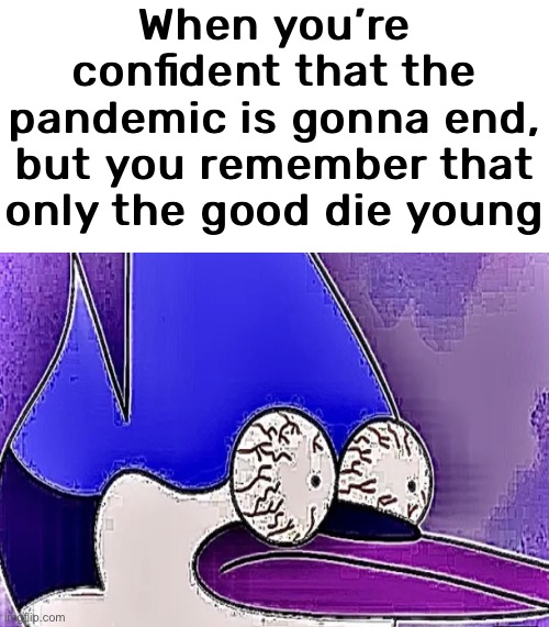 That’s the face that says “OH NO” | When you’re confident that the pandemic is gonna end, but you remember that only the good die young | image tagged in regular show,mordecai,covid-19,pandemic,memes,funny | made w/ Imgflip meme maker