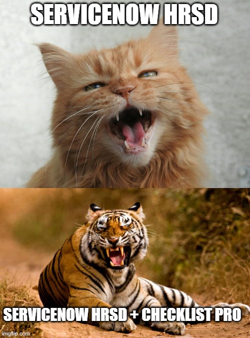 ServiceNow HRSD | SERVICENOW HRSD; SERVICENOW HRSD + CHECKLIST PRO | image tagged in cat,comparison | made w/ Imgflip meme maker