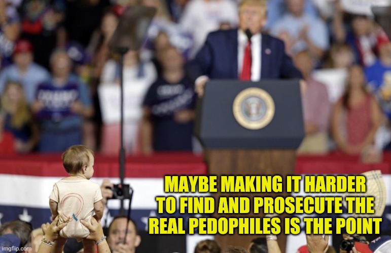 QBaby Trump NC Rally | MAYBE MAKING IT HARDER TO FIND AND PROSECUTE THE REAL PEDOPHILES IS THE POINT | image tagged in qbaby trump nc rally | made w/ Imgflip meme maker