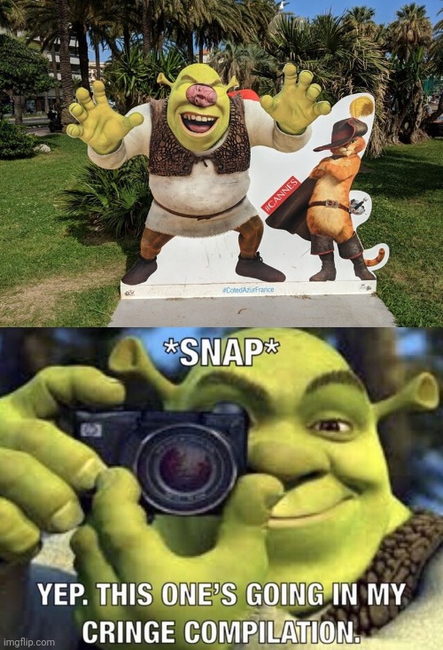 Shrek fail | image tagged in yep this one's going in my cringe compilation,shrek,you had one job,memes,meme,fail | made w/ Imgflip meme maker