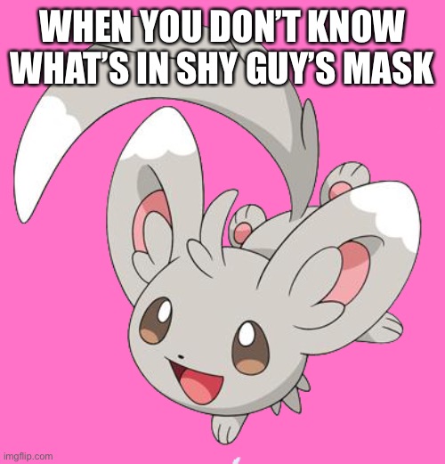 Has anyone know what’s inside of shy guy’s mask? | WHEN YOU DON’T KNOW WHAT’S IN SHY GUY’S MASK | image tagged in kawaii minccino,shy guy | made w/ Imgflip meme maker