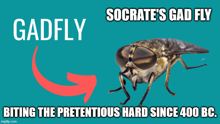 if you get it, good. If you don't, look it up. |  SOCRATE'S GAD FLY; BITING THE PRETENTIOUS HARD SINCE 400 BC. | image tagged in socrates,gadfly | made w/ Imgflip meme maker