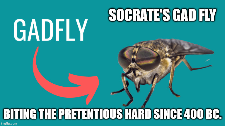 if you get it, good. If you don't, look it up. | SOCRATE'S GAD FLY; BITING THE PRETENTIOUS HARD SINCE 400 BC. | image tagged in socrates,gadfly | made w/ Imgflip meme maker