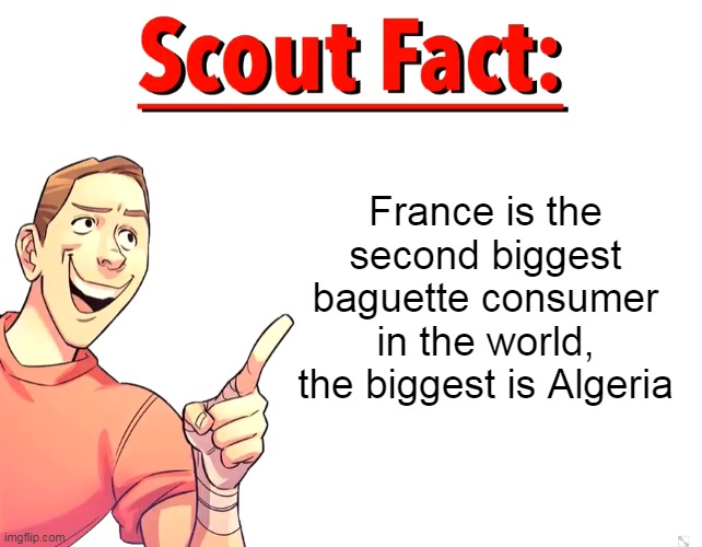 This is not a lie | France is the second biggest baguette consumer in the world, the biggest is Algeria | image tagged in scout fact,memes,france,bread | made w/ Imgflip meme maker
