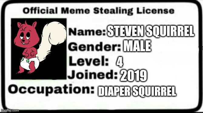Diaper squirrel id | STEVEN SQUIRREL; MALE; 4; 2019; DIAPER SQUIRREL | image tagged in meme stealing license,diaper,squirrel | made w/ Imgflip meme maker