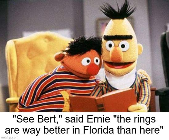 Ernie and Bert | "See Bert," said Ernie "the rings are way better in Florida than here" | image tagged in ernie and bert | made w/ Imgflip meme maker