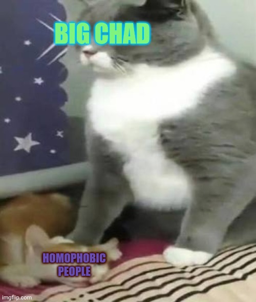 Be more like Chad: | BIG CHAD; HOMOPHOBIC PEOPLE | image tagged in big cat stomping small cat,soul knight | made w/ Imgflip meme maker