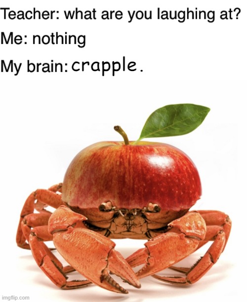 crapple. | image tagged in teacher what are you laughing at | made w/ Imgflip meme maker