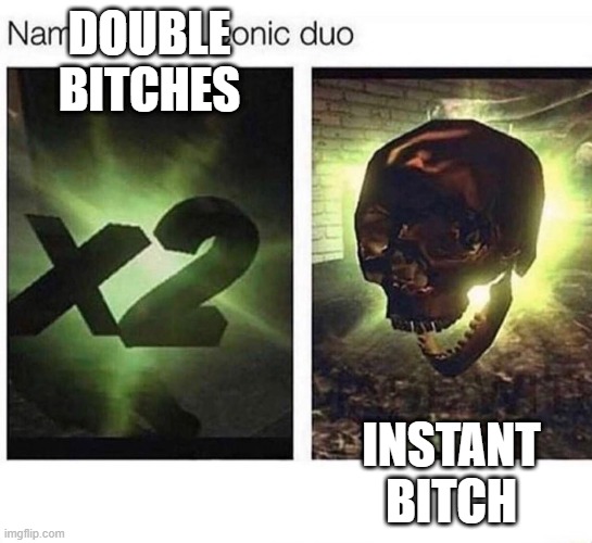 Call of duty duo | DOUBLE BITCHES; INSTANT BITCH | image tagged in call of duty duo | made w/ Imgflip meme maker