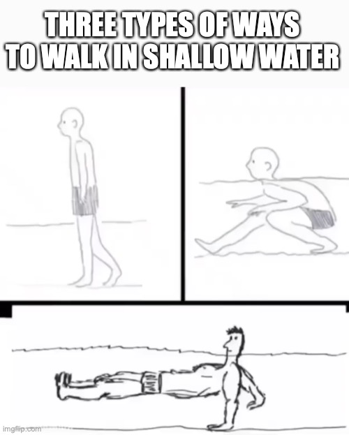 im the bottom one! | THREE TYPES OF WAYS TO WALK IN SHALLOW WATER | image tagged in funny,memes,fun,water,jokes,drawing | made w/ Imgflip meme maker