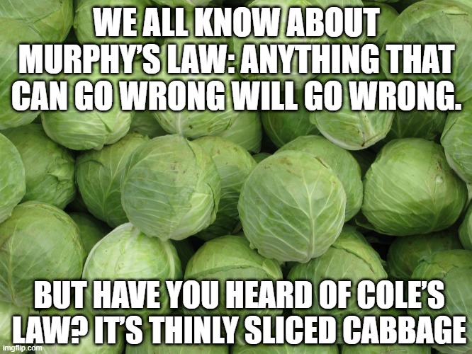 Yummy | WE ALL KNOW ABOUT MURPHY’S LAW: ANYTHING THAT CAN GO WRONG WILL GO WRONG. BUT HAVE YOU HEARD OF COLE’S LAW? IT’S THINLY SLICED CABBAGE | image tagged in cabbage | made w/ Imgflip meme maker