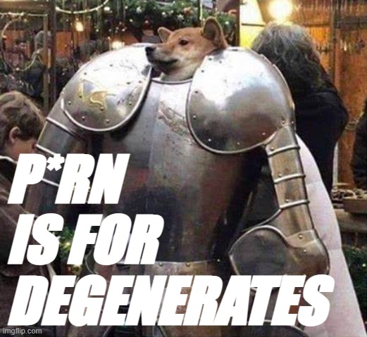 no horny | P*RN IS FOR DEGENERATES | made w/ Imgflip meme maker
