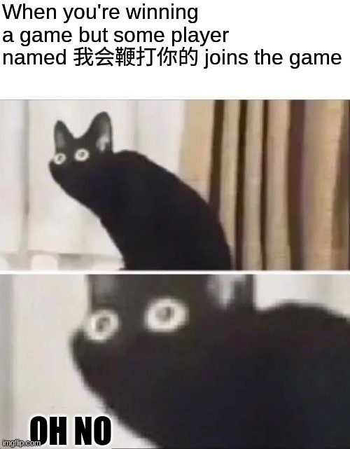 he will whip our asses | When you're winning a game but some player named 我会鞭打你的 joins the game; OH NO | image tagged in oh no black cat,chinese | made w/ Imgflip meme maker