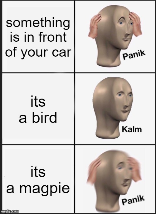 Panik Kalm Panik | something is in front of your car; its a bird; its a magpie | image tagged in memes,panik kalm panik | made w/ Imgflip meme maker