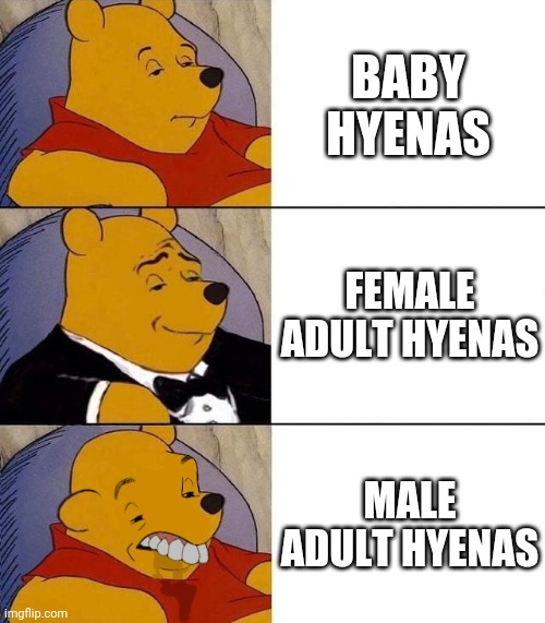 Have some respect for the males, | BABY HYENAS; FEMALE ADULT HYENAS; MALE ADULT HYENAS | image tagged in best better blurst | made w/ Imgflip meme maker
