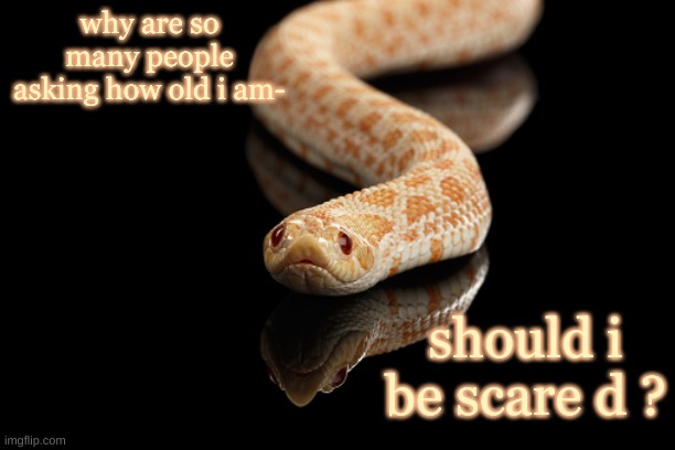 lil man :D | why are so many people asking how old i am-; should i be scare d ? | image tagged in lil man d | made w/ Imgflip meme maker