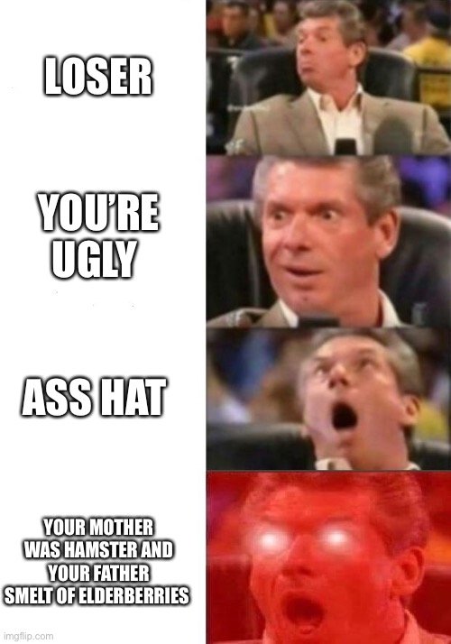 Insults | LOSER; YOU’RE UGLY; ASS HAT; YOUR MOTHER WAS HAMSTER AND YOUR FATHER SMELT OF ELDERBERRIES | image tagged in mr mcmahon reaction | made w/ Imgflip meme maker