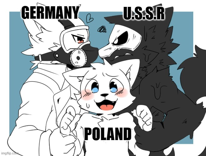 Poland during WWII | U.S.S.R; GERMANY; POLAND | image tagged in historical meme | made w/ Imgflip meme maker