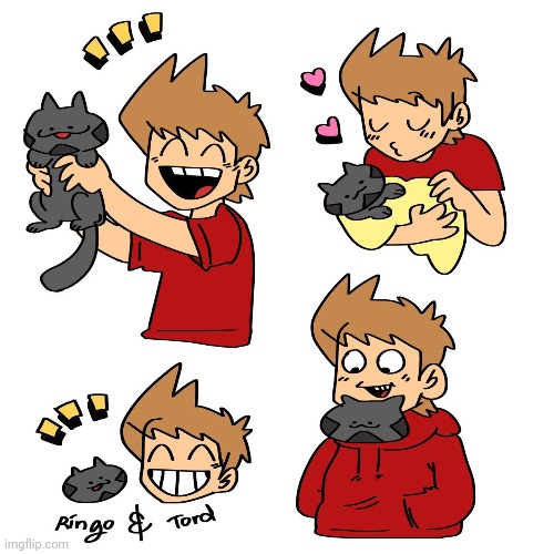 Ringo kinda looks like my cat except my cat don't have stripes | made w/ Imgflip meme maker