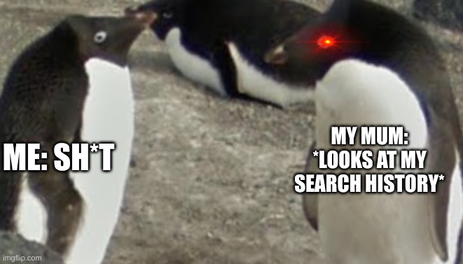 Search History | MY MUM: *LOOKS AT MY SEARCH HISTORY*; ME: SH*T | image tagged in you got em',memes,funny | made w/ Imgflip meme maker