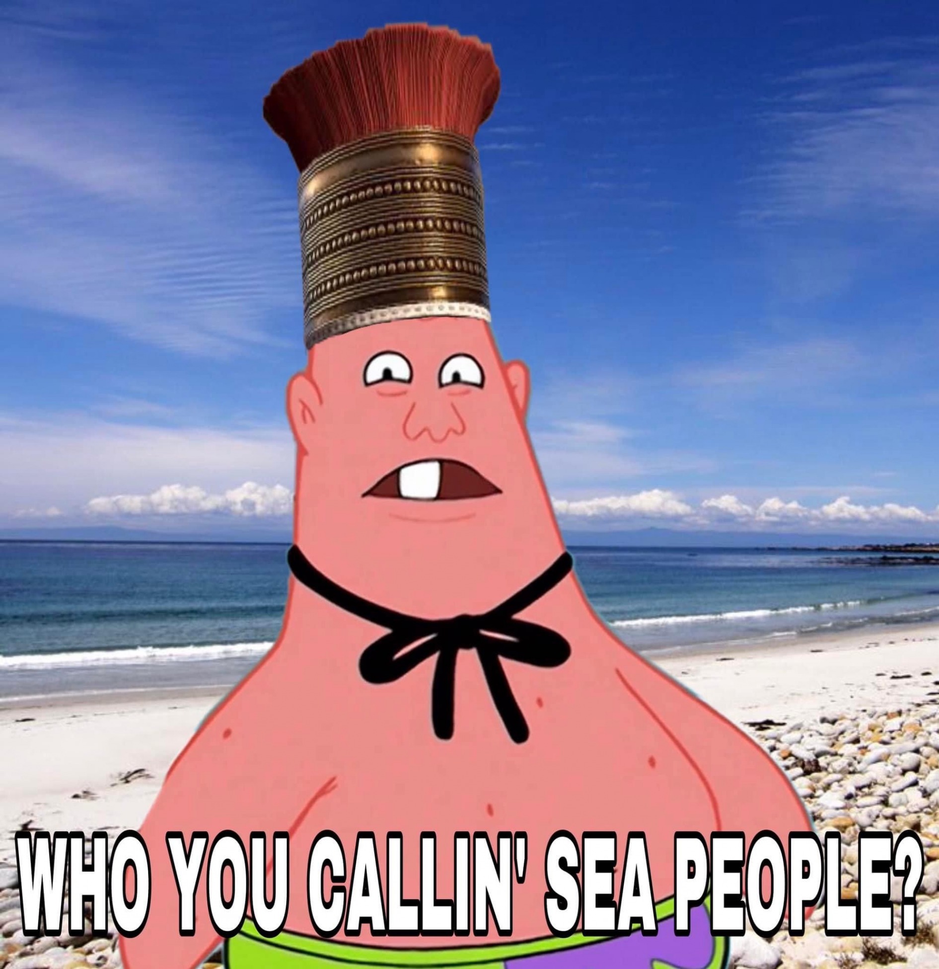 High Quality Who you callin sea people Blank Meme Template