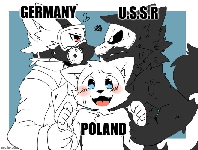 Poland during WWII | image tagged in historical meme | made w/ Imgflip meme maker