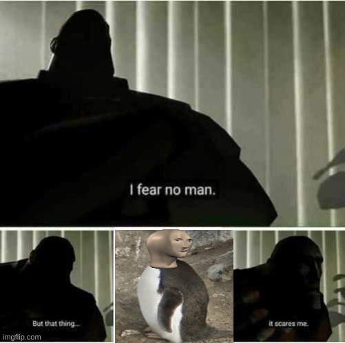 I fear no man | image tagged in i fear no man,memes,funny,penguin | made w/ Imgflip meme maker