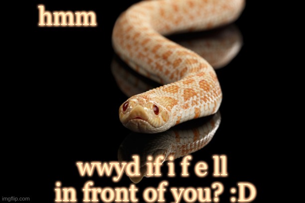 lil man :D | hmm; wwyd if i f e ll  in front of you? :D | image tagged in lil man d | made w/ Imgflip meme maker