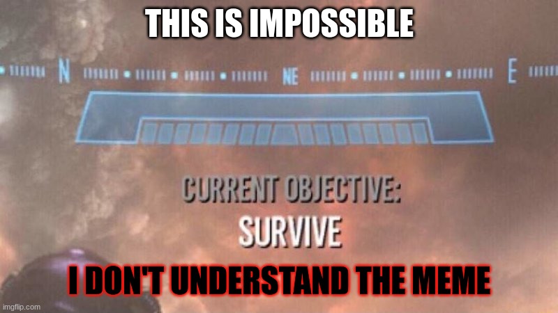 THIS IS IMPOSSIBLE I DON'T UNDERSTAND THE MEME | image tagged in current objective survive | made w/ Imgflip meme maker