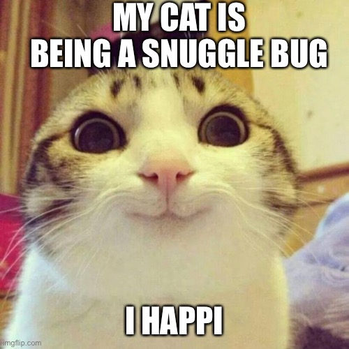 Never mind she just left and THE WIND IS GOING CRAZY!! | MY CAT IS BEING A SNUGGLE BUG; I HAPPI | image tagged in memes,smiling cat | made w/ Imgflip meme maker