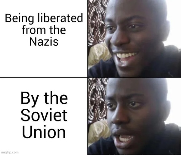 That Sucked | image tagged in history memes | made w/ Imgflip meme maker