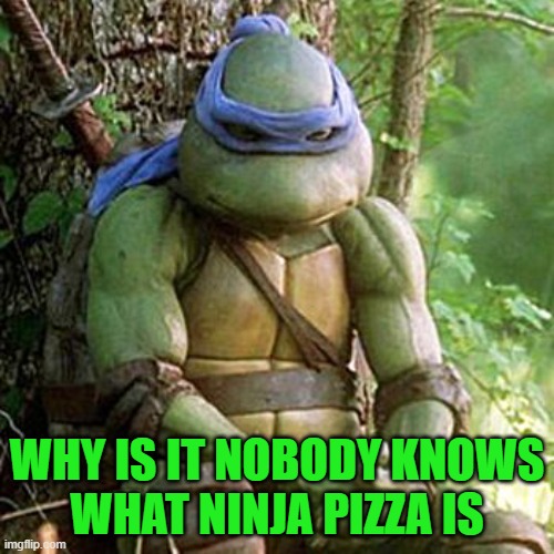Ninja Pizza | WHY IS IT NOBODY KNOWS
WHAT NINJA PIZZA IS | image tagged in sad ninja turtle,ninja,pizza,teenage mutant ninja turtles,ninja turtles | made w/ Imgflip meme maker