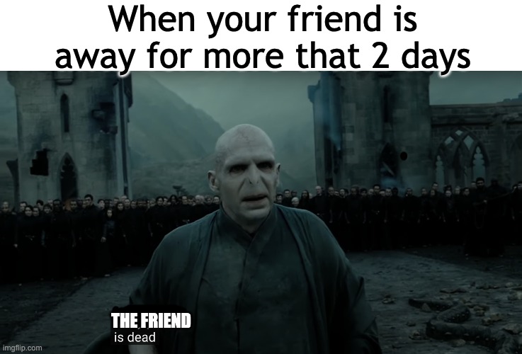 can't think of a title | When your friend is away for more that 2 days; THE FRIEND | image tagged in harry potter is dead,relatable,school,memes,oh wow are you actually reading these tags | made w/ Imgflip meme maker