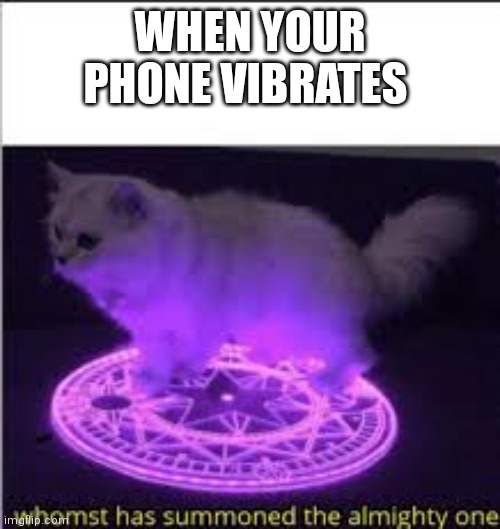 Whomst has Summoned the almighty one | WHEN YOUR PHONE VIBRATES | image tagged in whomst has summoned the almighty one | made w/ Imgflip meme maker