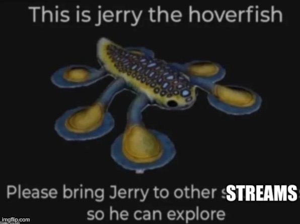 Don’t worry, Jerry the hoverfish is just here to see everyone’s drawings | made w/ Imgflip meme maker