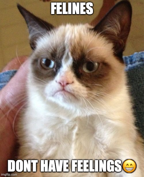 Grumpy Cat Meme |  FELINES; DONT HAVE FEELINGS😁 | image tagged in memes,grumpy cat | made w/ Imgflip meme maker