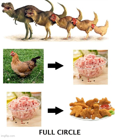 Full Circle | image tagged in dinosaurs,chicken,nuggets | made w/ Imgflip meme maker