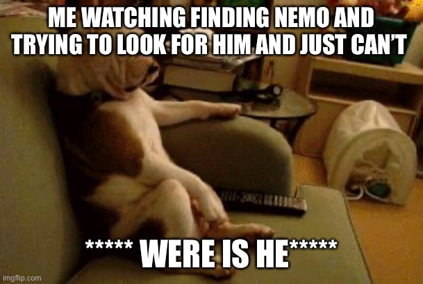 Dog watching tv | ME WATCHING FINDING NEMO AND TRYING TO LOOK FOR HIM AND JUST CAN’T; ***** WERE IS HE***** | image tagged in dog watching tv | made w/ Imgflip meme maker