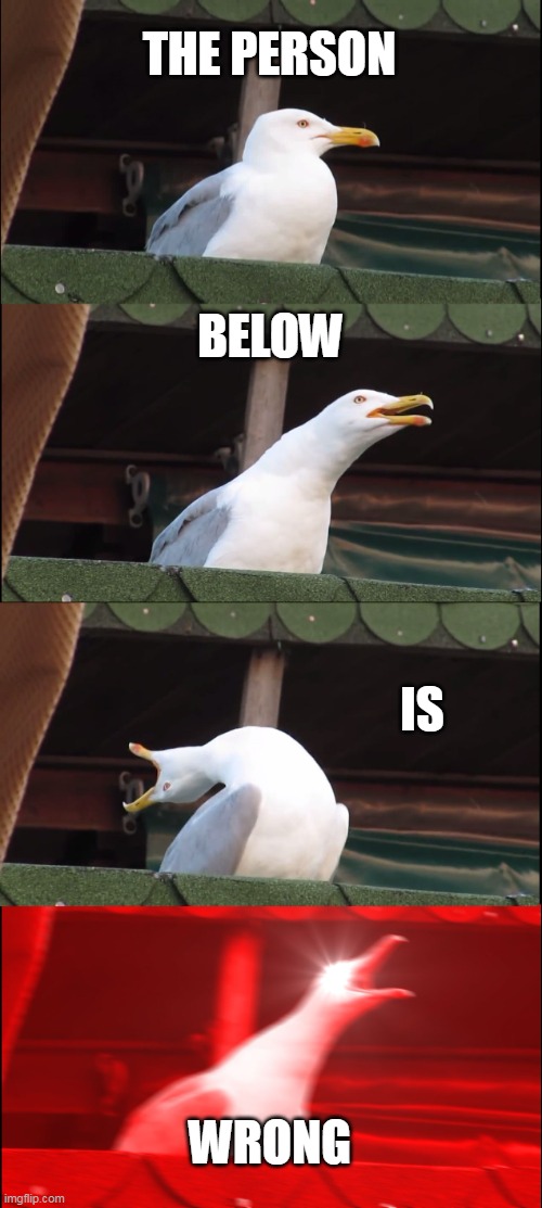 Inhaling Seagull | THE PERSON; BELOW; IS; WRONG | image tagged in memes,inhaling seagull | made w/ Imgflip meme maker
