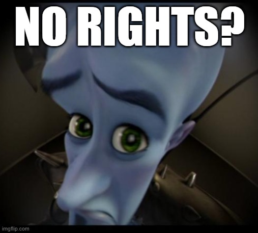 Megamind peeking | NO RIGHTS? | image tagged in no bitches | made w/ Imgflip meme maker