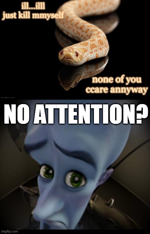 mfs seriously think we can drive 69,420 miles to their location and make them not commit suicide. | NO ATTENTION? | image tagged in no bitches | made w/ Imgflip meme maker