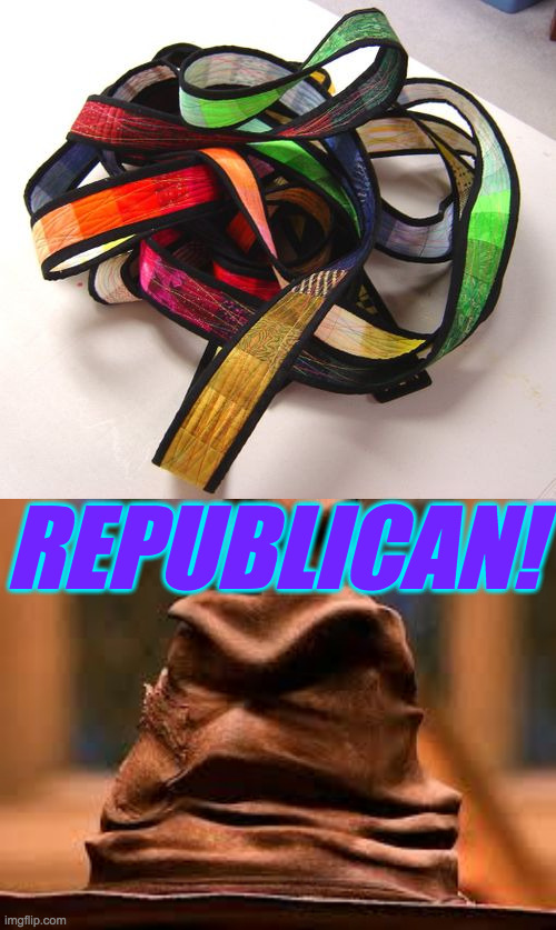 REPUBLICAN! | image tagged in harry potter sorting hat | made w/ Imgflip meme maker