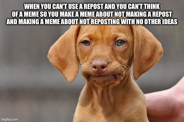 Dissapointed puppy | WHEN YOU CAN’T USE A REPOST AND YOU CAN’T THINK OF A MEME SO YOU MAKE A MEME ABOUT NOT MAKING A REPOST AND MAKING A MEME ABOUT NOT REPOSTING WITH NO OTHER IDEAS | image tagged in dissapointed puppy | made w/ Imgflip meme maker