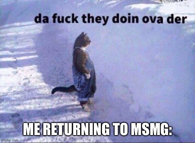 Whet going on? | ME RETURNING TO MSMG: | image tagged in da fuk they doin | made w/ Imgflip meme maker