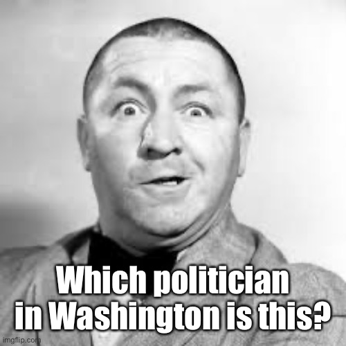 curly three stooges | Which politician in Washington is this? | image tagged in curly three stooges | made w/ Imgflip meme maker